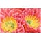Diamond Dotz® Intermediate Desert Blooms Diamond Painting Kit